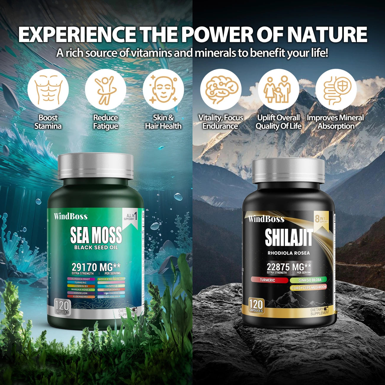SHILAJIT + SEA MOSS (2  Frascos 240 Capsulas)