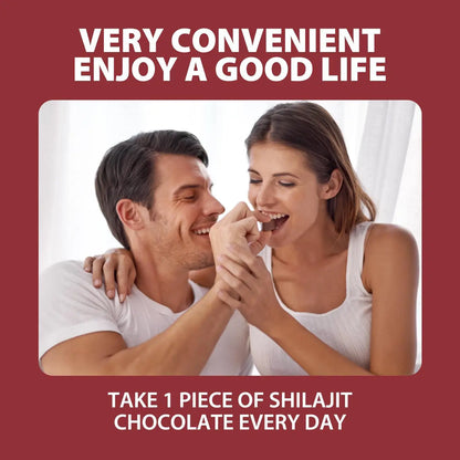 Shilajit Chocolates Caja con 12 Chocolates
