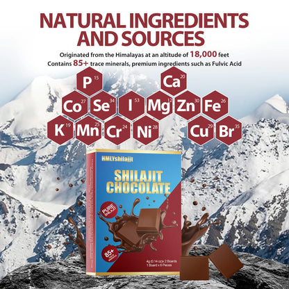 Shilajit Chocolates Caja con 12 Chocolates
