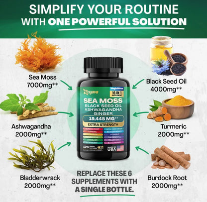 SEA MOSS Suplemento ALL IN 1 (120 Capsulas)