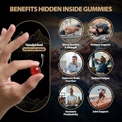 Shilajit Gomitas GOLD WindBoss con 80pz de 3000mg