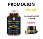 Gomitas Shilajit Biyode y Resina