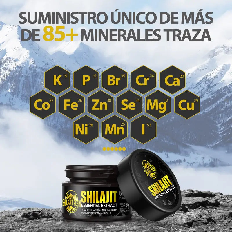SHILAJIT RESINA