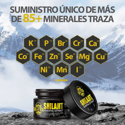 SHILAJIT RESINA